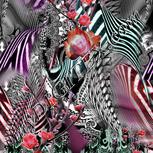 Colour:B