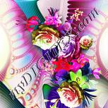 Colour:B
