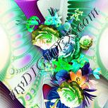 Colour:C