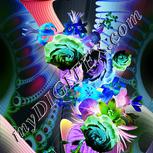 Colour:F