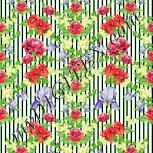 Colour:K