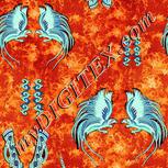 Colour:F