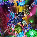 Colour:F