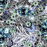 Colour:F