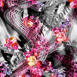 Colour:B