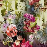 Colour:A