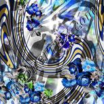 Colour:F