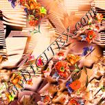 Colour:J