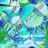 Colour:A