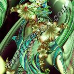 Colour:K