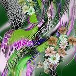 Colour:C