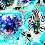 Colour:F