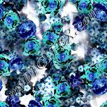 Colour:F