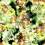 Colour:K