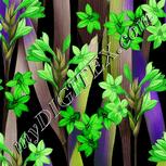 Colour:D