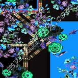 Colour:F