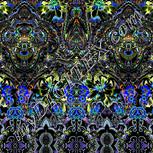 Colour:F