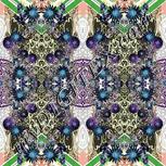 Colour:F