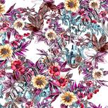 Colour:B