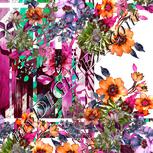 Colour:B