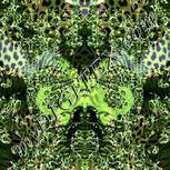 Colour:D