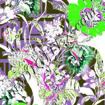 Colour:D