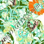 Colour:K