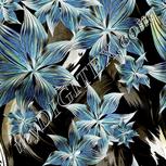 Colour:F