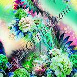 Colour:C