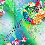 Colour:B
