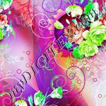 Colour:C