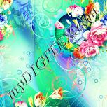 Colour:K