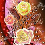 Colour:B