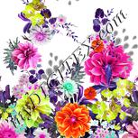 Colour:B