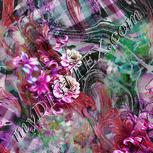 Colour:B