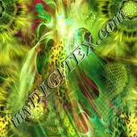 Colour:K