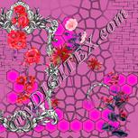 Colour:B