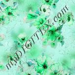 Colour:C