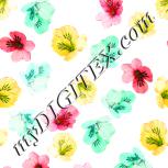 Colour:C