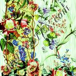Colour:K