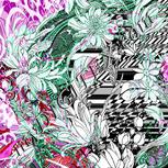 Colour:B