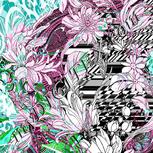 Colour:C