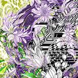 Colour:D