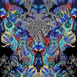 Colour:F