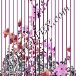 Colour:B