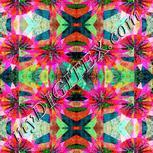 Colour:B