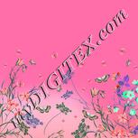 Colour:B