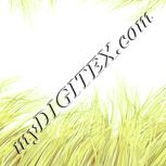 Colour:K