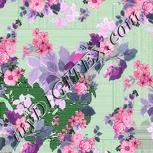Colour:B