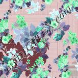 Colour:C